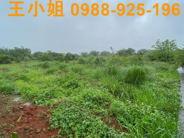 桃園農地-2