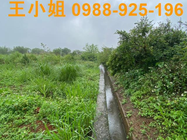 桃園農地-3