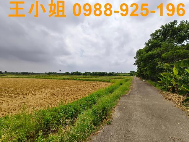 桃園楊梅農地-0
