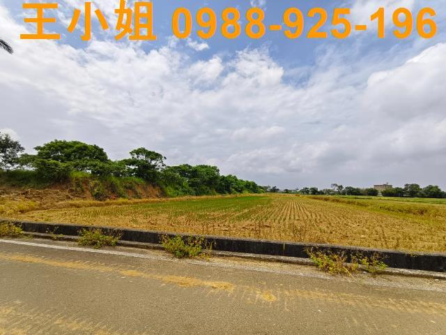桃園楊梅農地-7