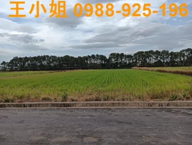 桃園新屋農地-2