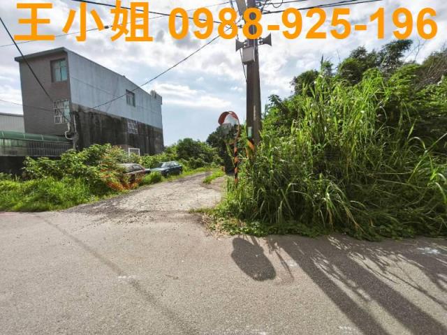桃園區農地-2