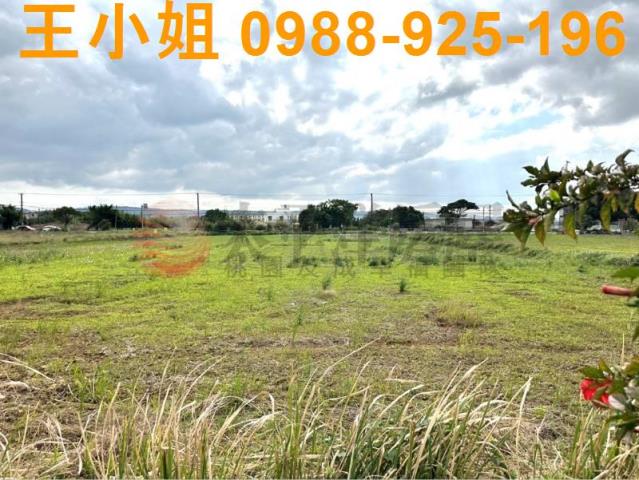 楊梅農地-9