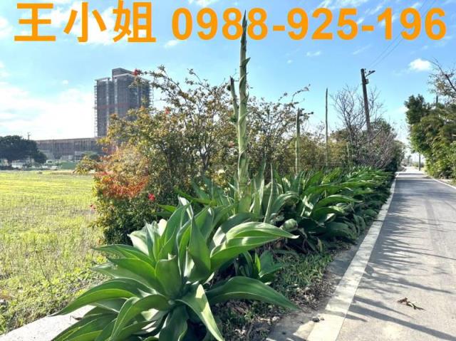 楊梅農地-4