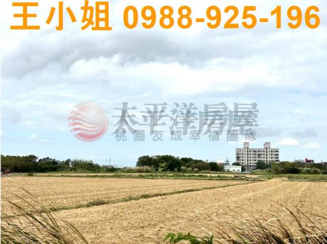 楊梅農地-6