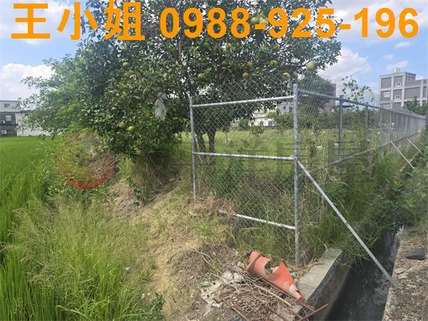 桃園農地-2
