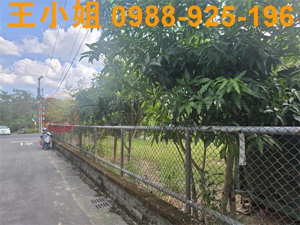 桃園農地-4