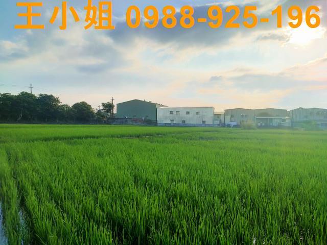 桃園農地-1