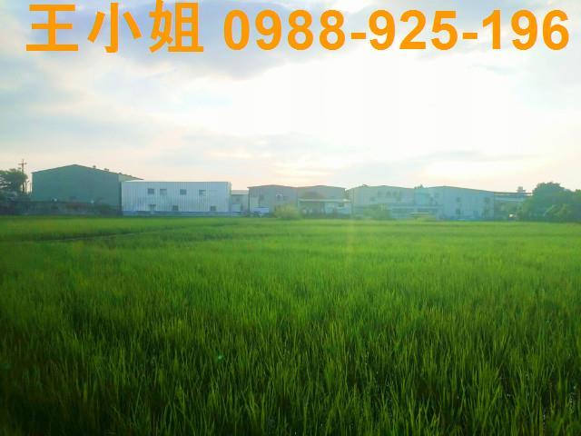 桃園農地-2