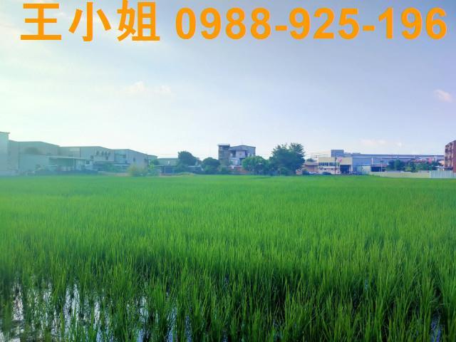 桃園農地-3