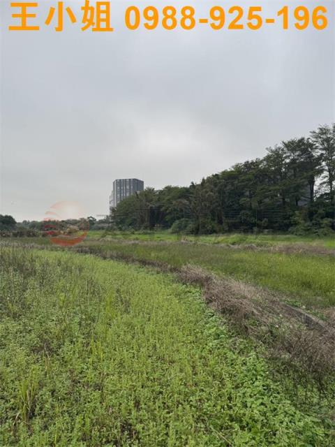 桃園農地-4