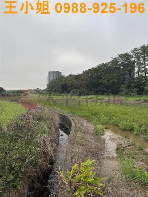 桃園農地-5