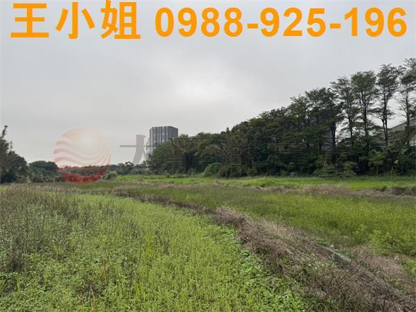 桃園農地-0