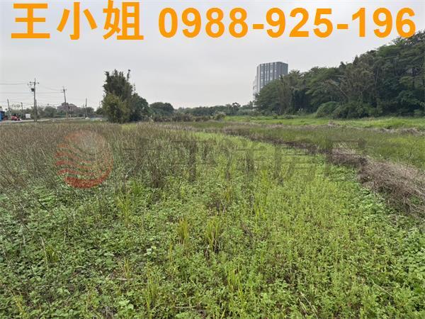 桃園農地-1