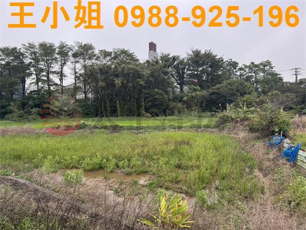 桃園農地-2