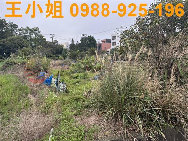 桃園農地-3