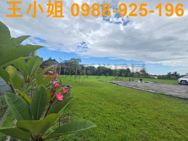 桃園農地-11