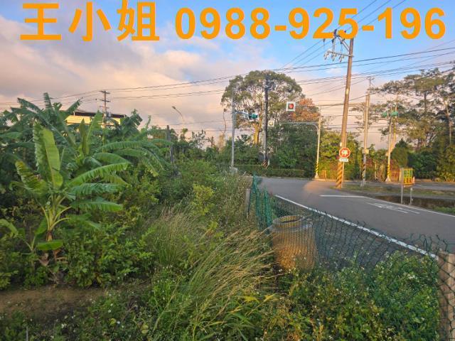 桃園農地-2