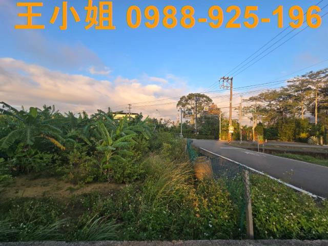 桃園農地-3