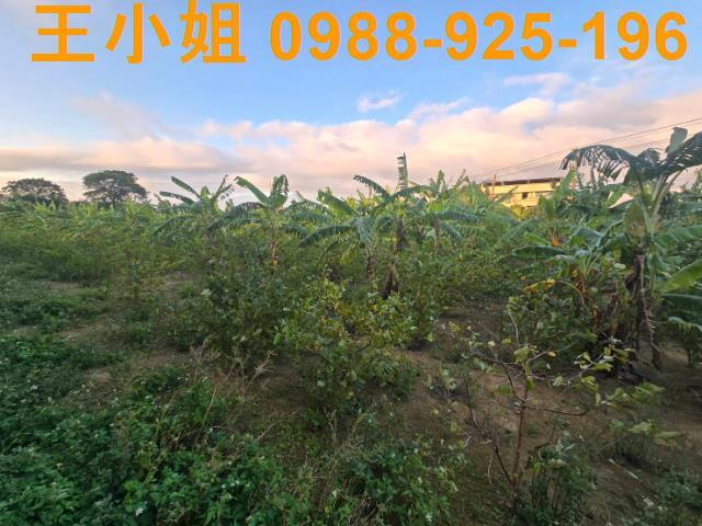 桃園農地-8
