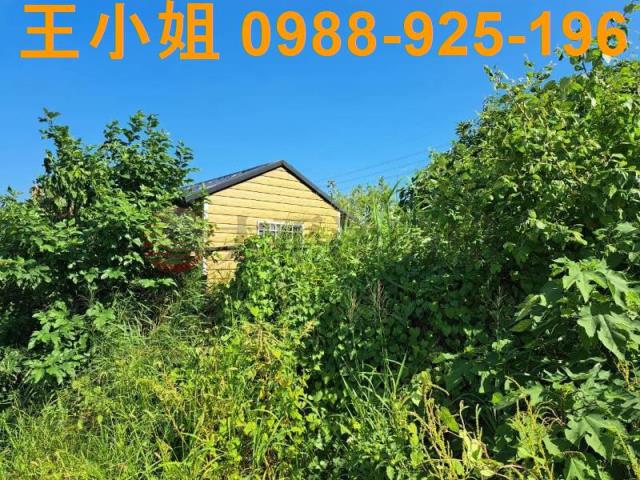 桃園蘆竹農地-8