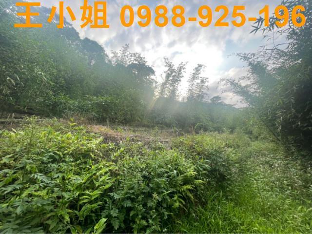 桃園大溪農地-4