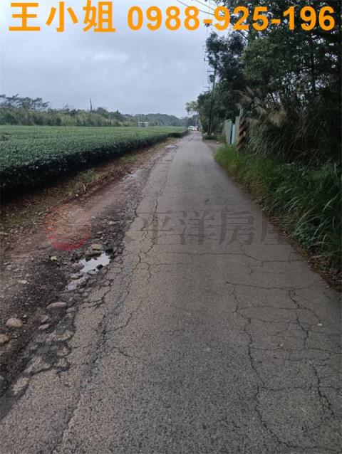桃園龍潭農地-2