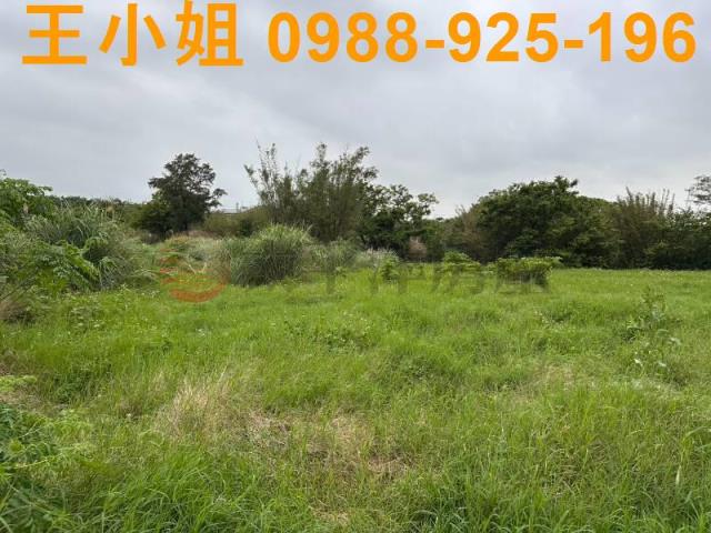 桃園大園農地-1