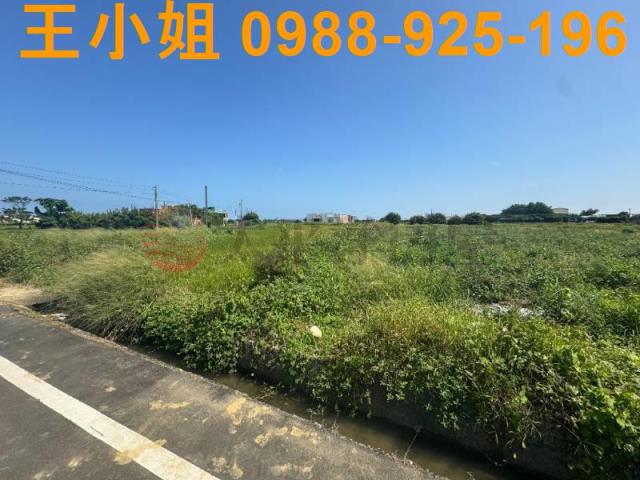 桃園觀音農地-10