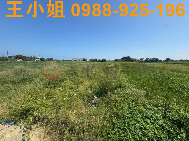 桃園觀音農地-13