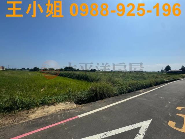 桃園觀音農地-5