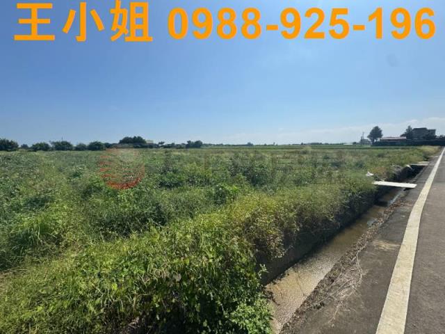 桃園觀音農地-6