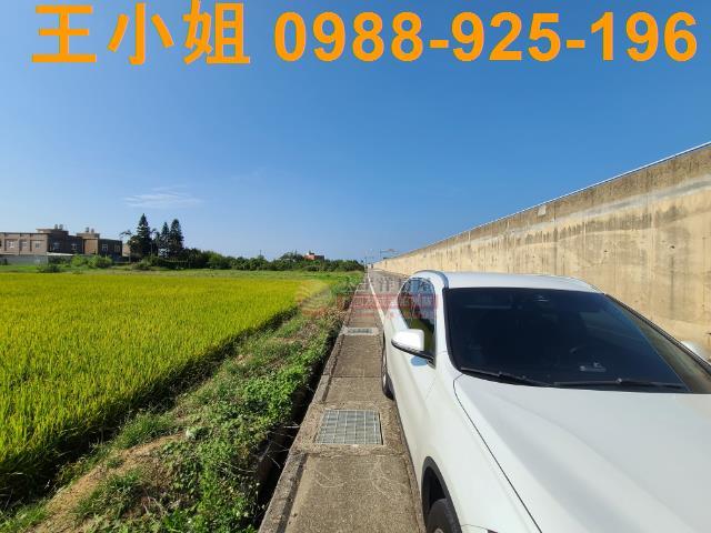 觀音農地-1